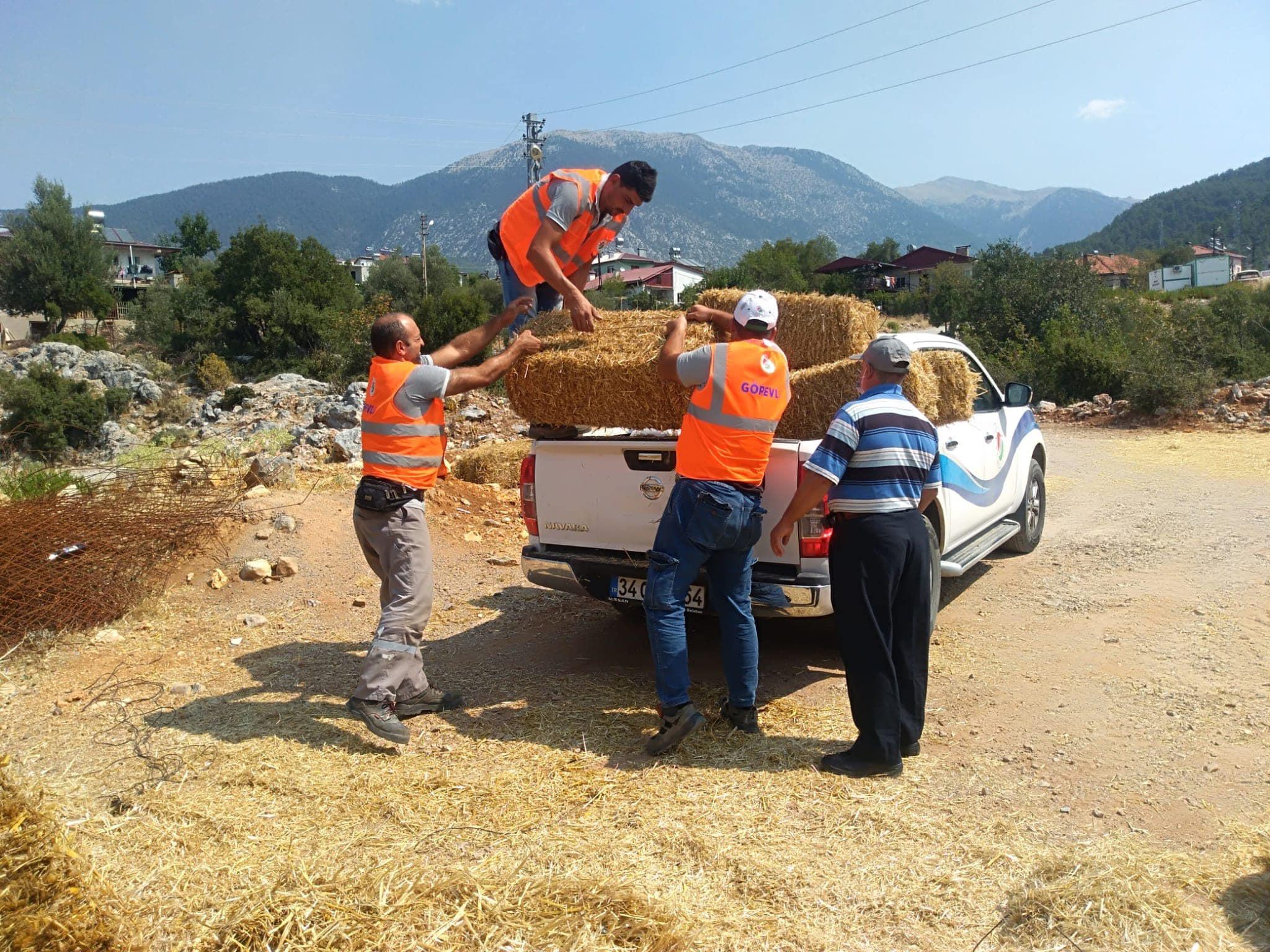 Kepez, afetzede besiciler için görevde