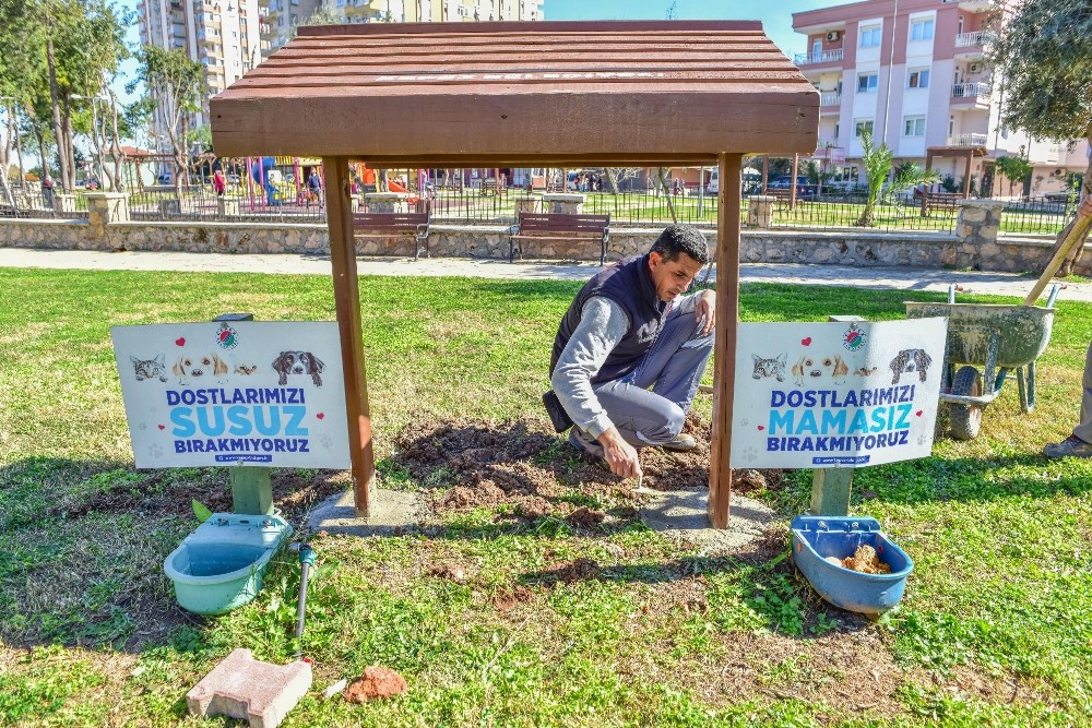 Kepez Belediyesi, ilçedeki parklarda sokak hayvanlarının mama ve su kaplarının bulunduğu alana gölgelik yapıyor