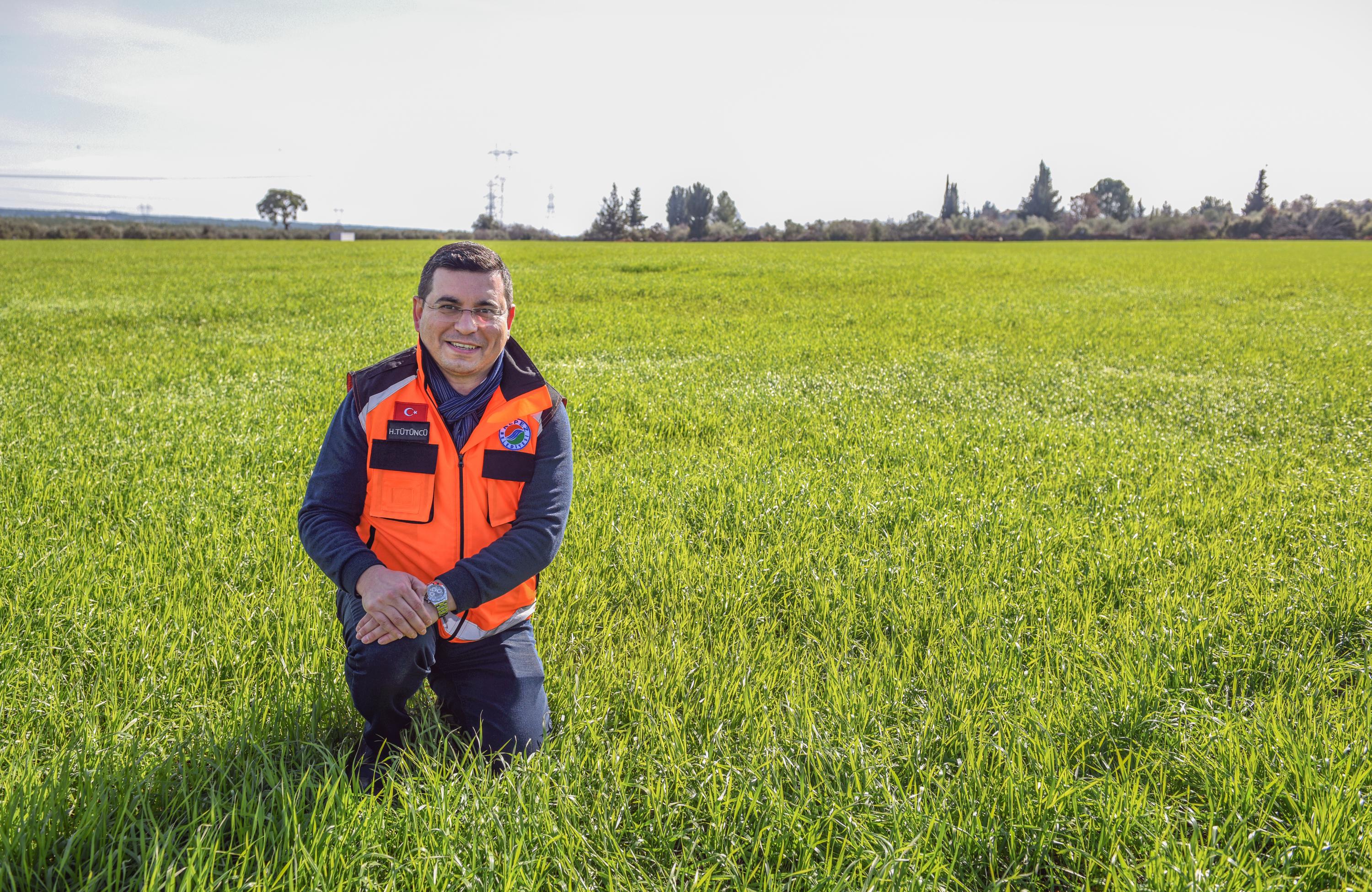 Kepez Belediyesi’nin, 540 dönüm buğday tarlasında hasat vakti geldi