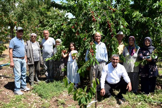 Kiraz Üreticileri geçen yıl pandemi sebebiyle yaşanan pazar sıkıntısına bu yıl tedbir alınmasını bekliyor