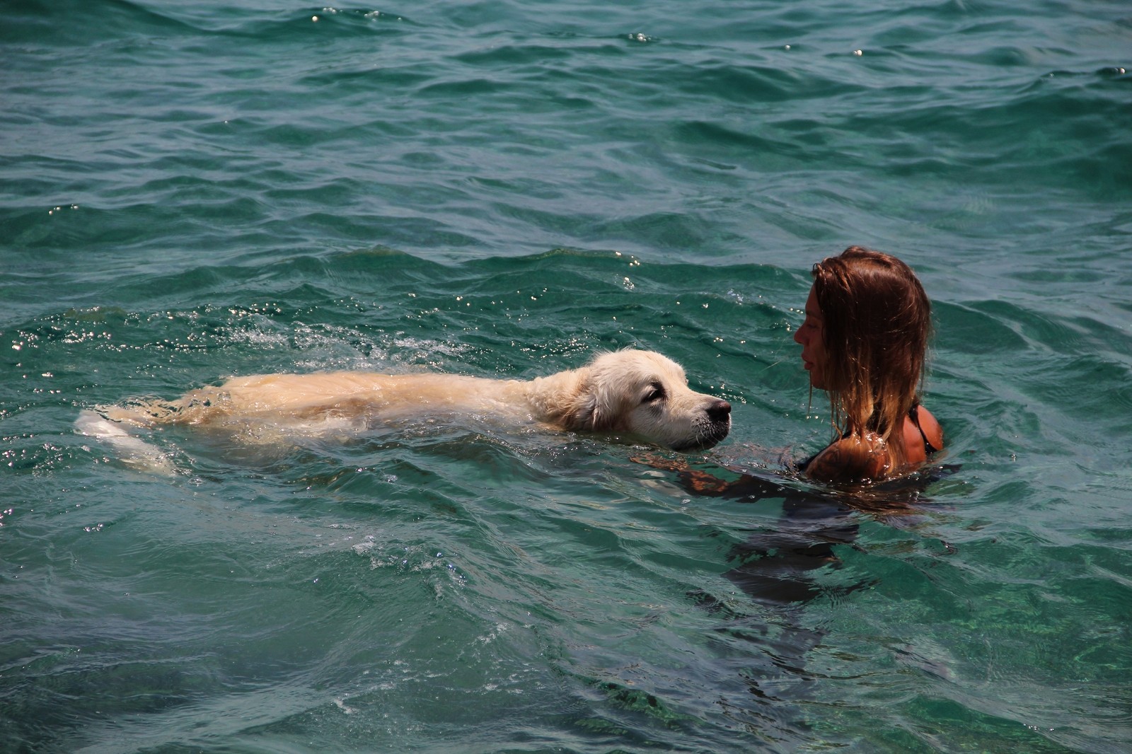 Kısıtlamadan muaf olan Rus turist, köpeğiyle denizin keyfini çıkardı.