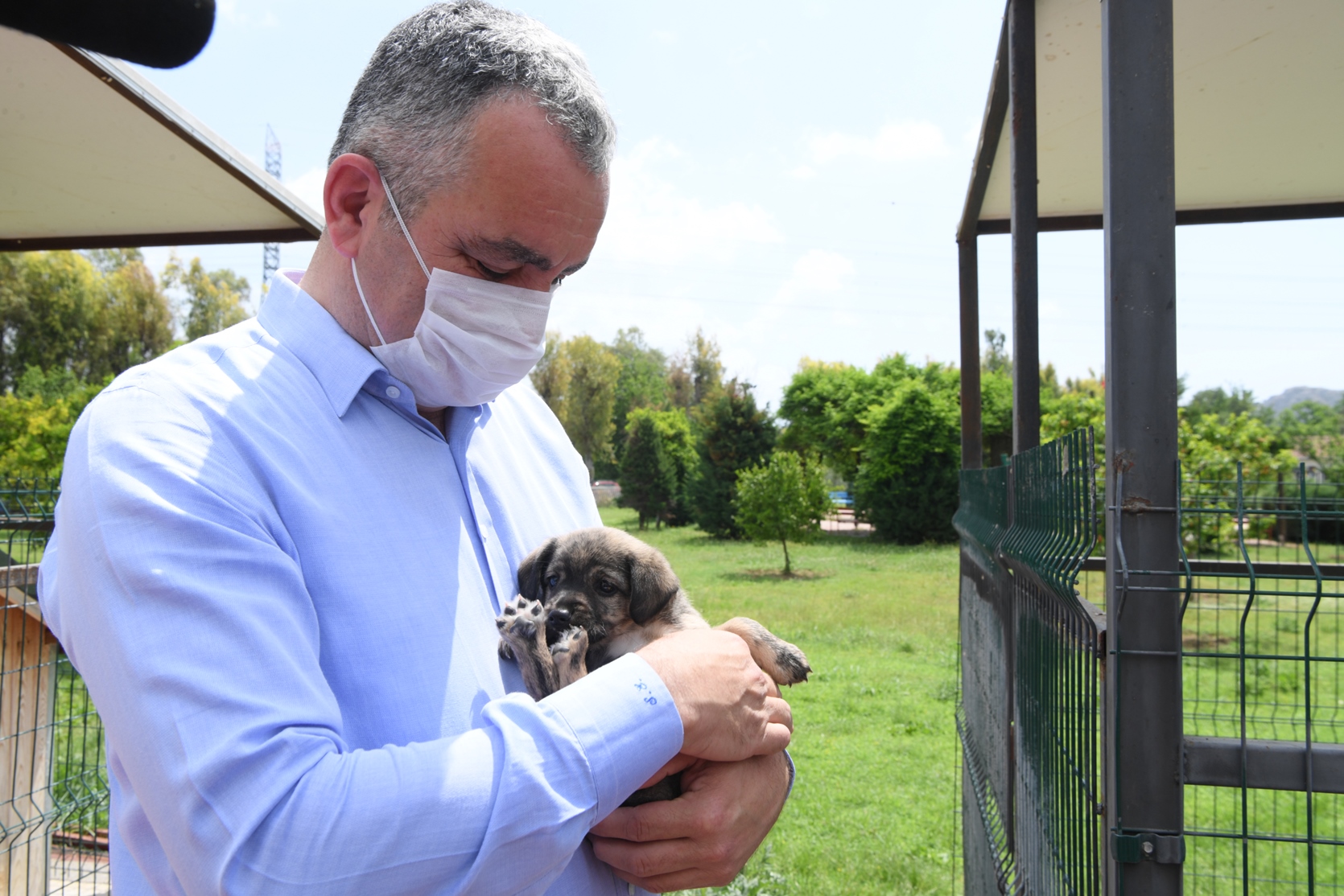 Konyaaltı Barınağı tam teşekkülü hizmet veriyor