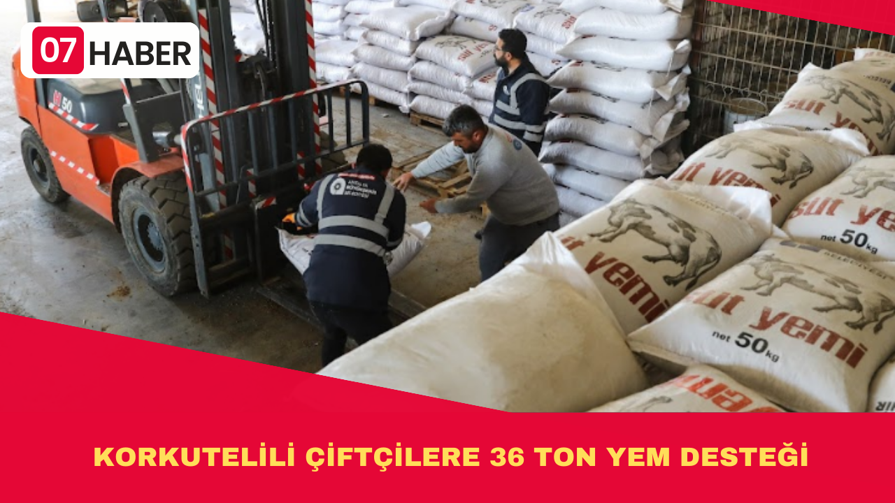 KORKUTELİLİ ÇİFTÇİLERE 36 TON YEM DESTEĞİ