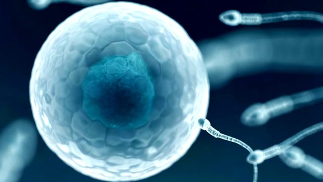 Koronavirüs hastalarında sperm düşüklüğü ve kısırlık tespit edildi