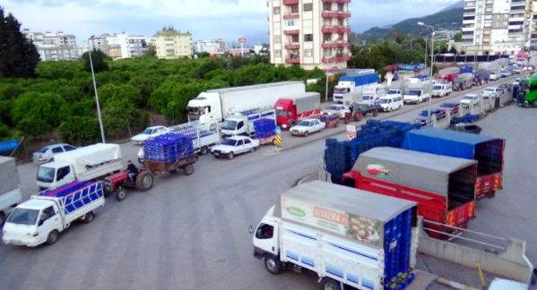 Kumluca Hali'nde kısıtlama sonrası araç kuyruğu