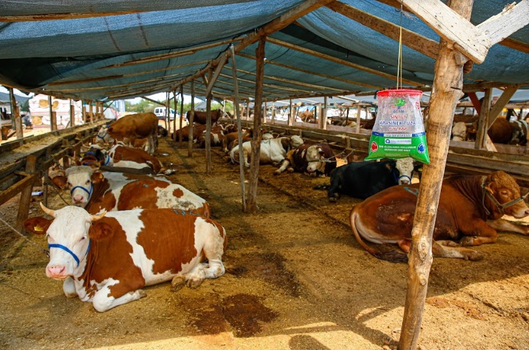 KURBAN SATIŞ VE KESİM NOKTALARI İLAÇLANIYOR