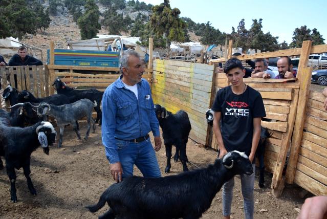 Kurbanlık satışları başladı