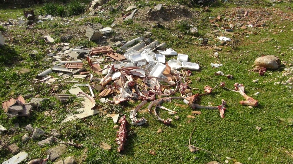 Manavgat ilçesinde ormanlık alan kenarına bırakılan hayvan atıkları tepki çekti.