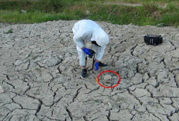 Manavgat ilçesinde sulama kanalına boşaltılan balçıktan insan kafatası çıktı.