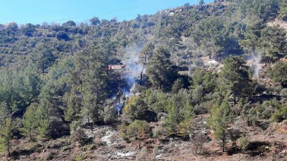 Manavgat ilçesinde tarla temizliğinden çıktığı değerlendirilen yangında, yarım hektar ormanlık alan zarar gördü.