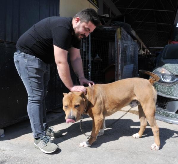 Merak ettiği iş yerindeki köpeğini, polisin telefonundan gördü