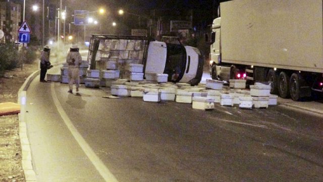 Mersin'de arı kovanı taşıyan kamyon kaza yapınca arılar etrafa saçıldı