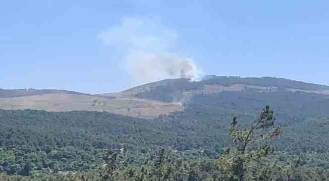 Muğla’da orman yangını