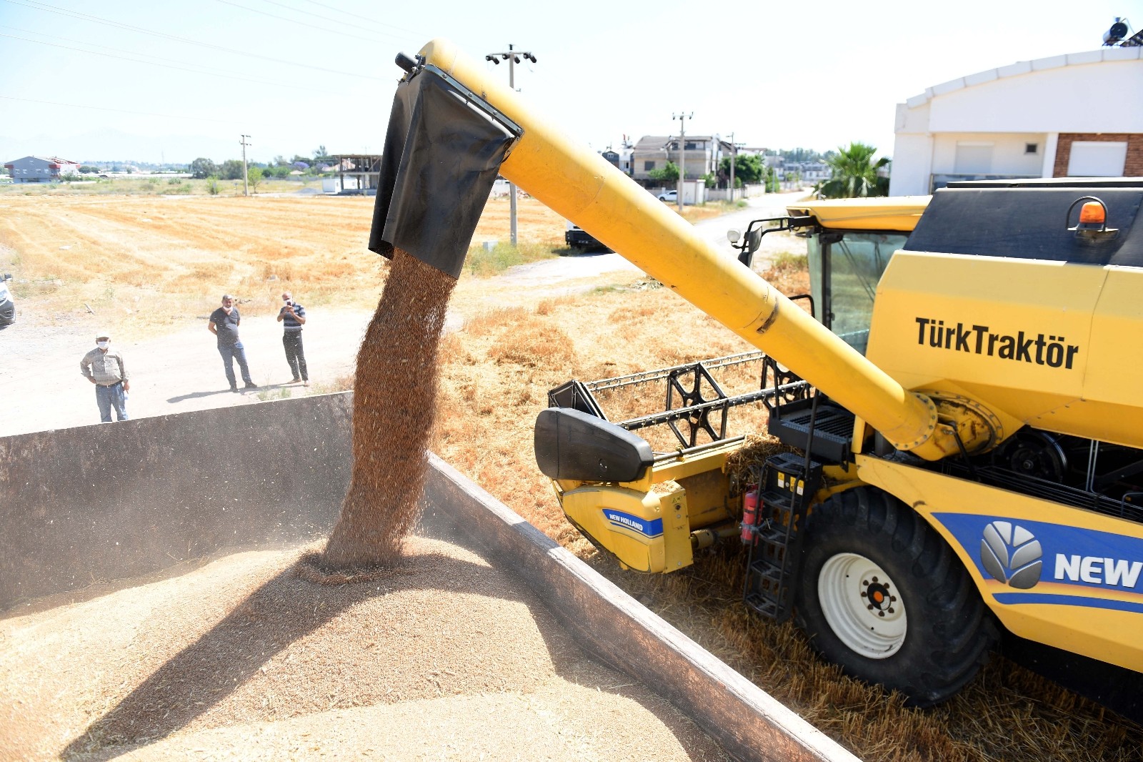 Muratpaşa Belediyesi ürettiği buğdayı bulgur olarak ilçe sakinlerine dağıtacak