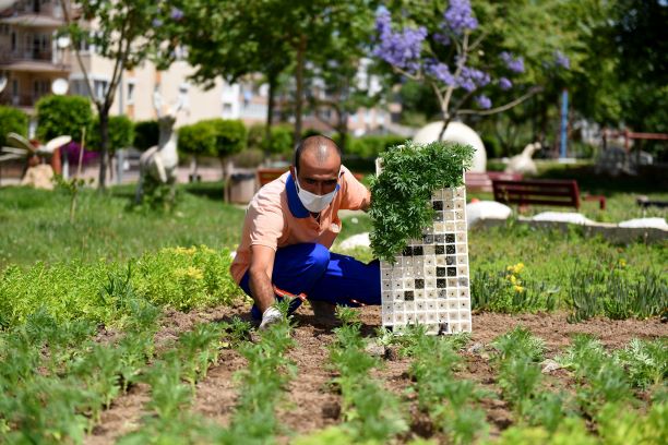 Muratpaşa Belediyesi, yaz mevsimini parklarına dikeceği 500 bin çiçekle karşılıyor. 