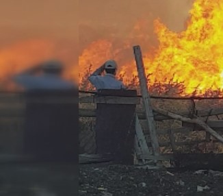 Muratpaşa ilçesinde naylon seraları tehdit eden sazlık alanda yangın çıktı