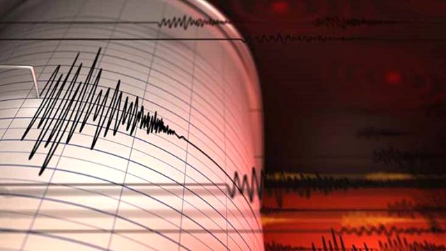 Muş ve Malatya'da yaşanan depremler endişelendirdi