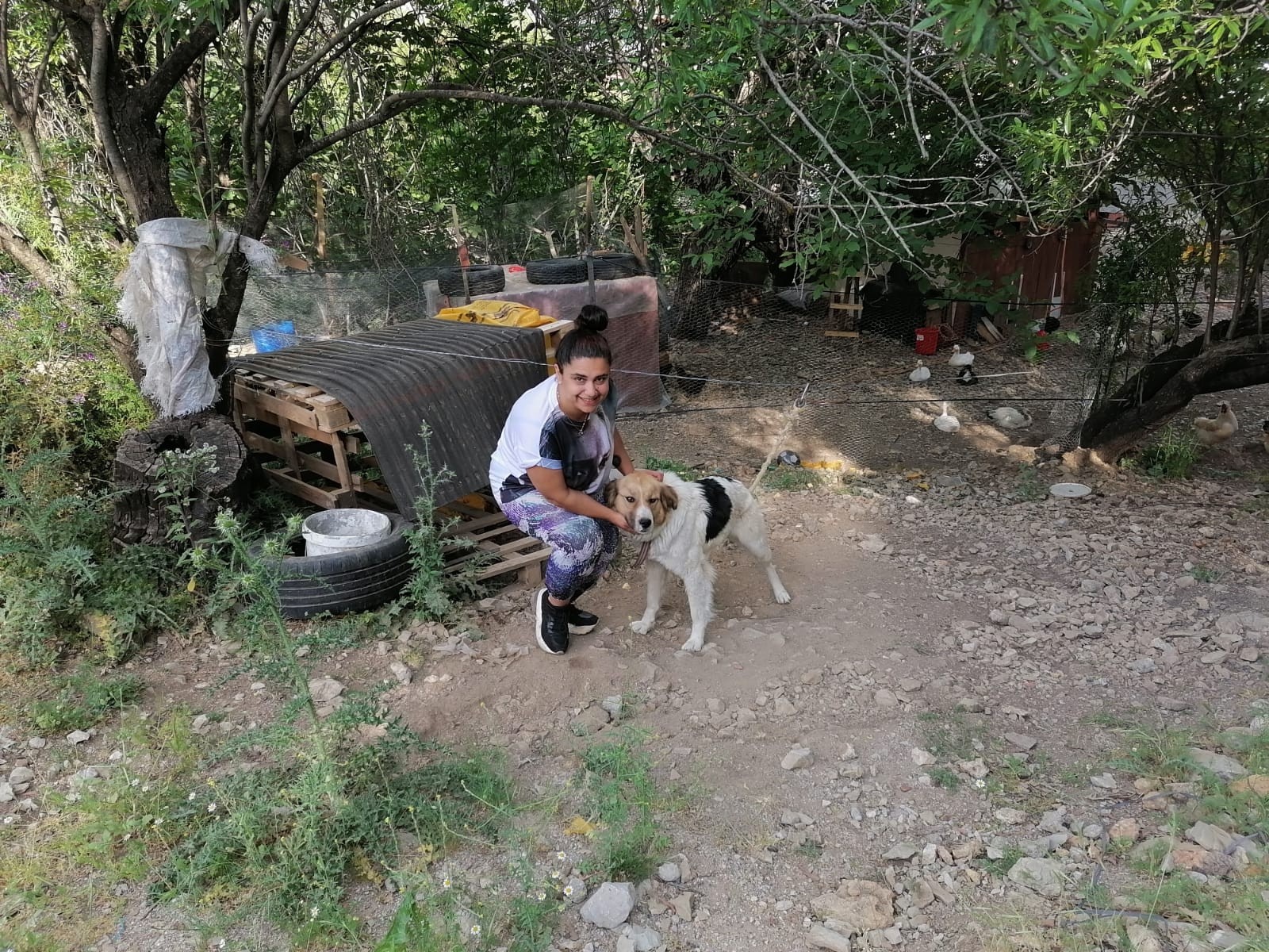 Ölüme terk edilen köpeklere  köy muhtarı ve halkı sahip çıktı
