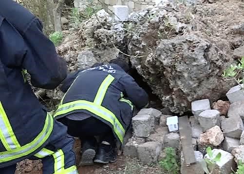 Park halindeki otomobilin hareket etmesi sonucu ayağı ezilen yavru köpek girdiği  kayalık oyuğundan itfaiye yardımıyla çıkarıldı 