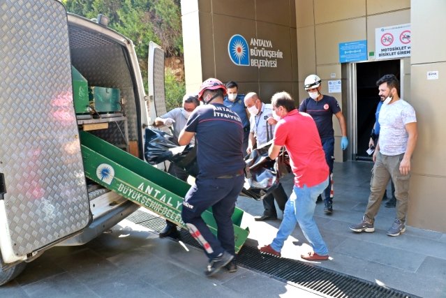 Plaja inen asansör boşluğundaki cesedin kimliği parmak izi örneğinden tespit edildi