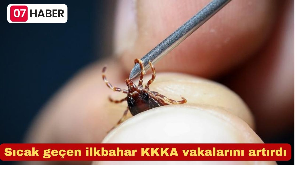 Sıcak geçen ilkbahar KKKA vakalarını artırdı