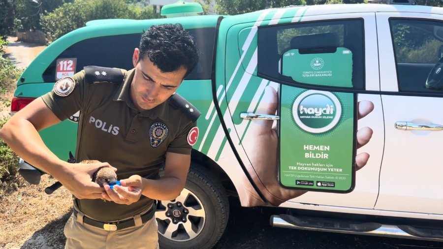 Sıcaktan Ölmek Üzere Olan Kerkenezi Polis Hayata Döndürdü.