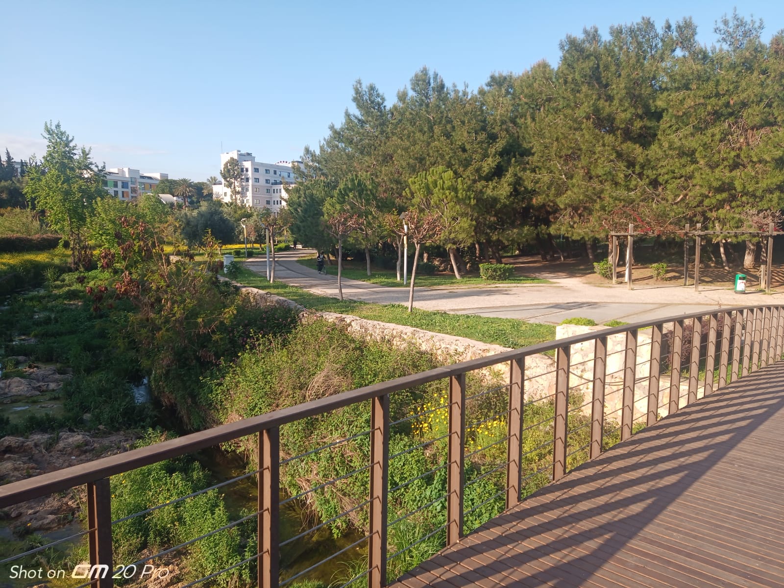 SİZDEN GELENLER ; ÖLMEYE YÜZ TUTMUŞ AKDENİZ KENT PARK