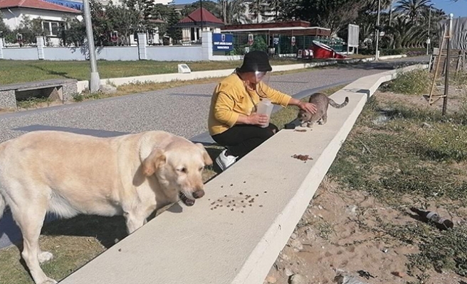 Sokağa çıkma kısıtlamasında özel izinle hayvanlarını besledi