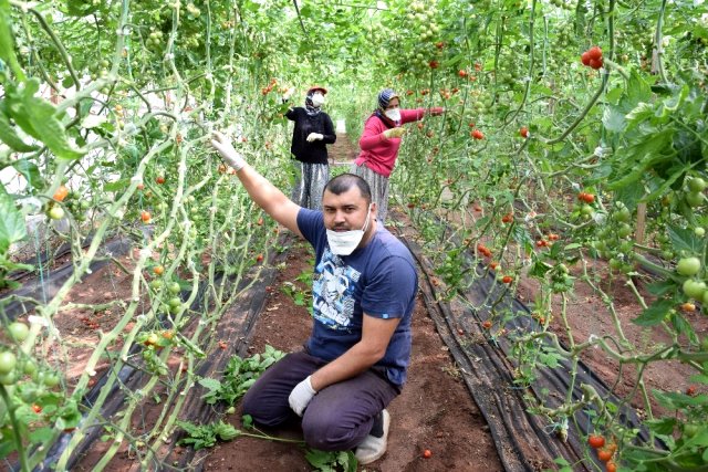 Sokağa çıkma yasağında kapsam dışı tutulan çiftçiler sabahın erken saatlerinde görevlerine başladı