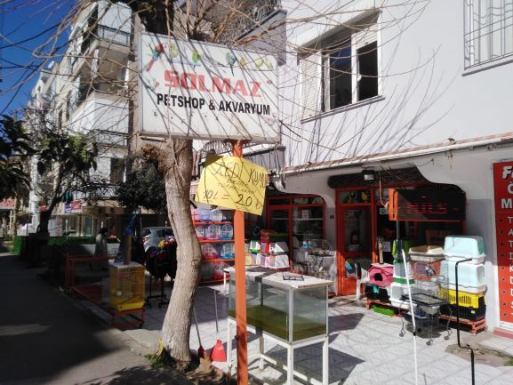 SOLMAZ PETSHOP VE AKVARYUM ESNAF İNDİRİM KARTI ÜYESİ