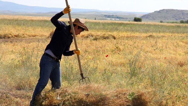 Son dakika: Çiftçinin nakit avansını Türkşeker ödeyecek