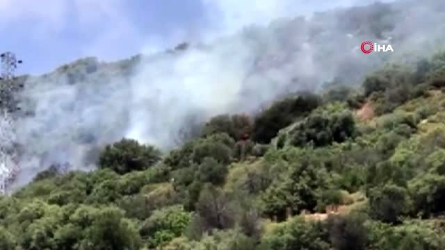 Son dakika haberi | Kaş'ta makilik alanda yangın