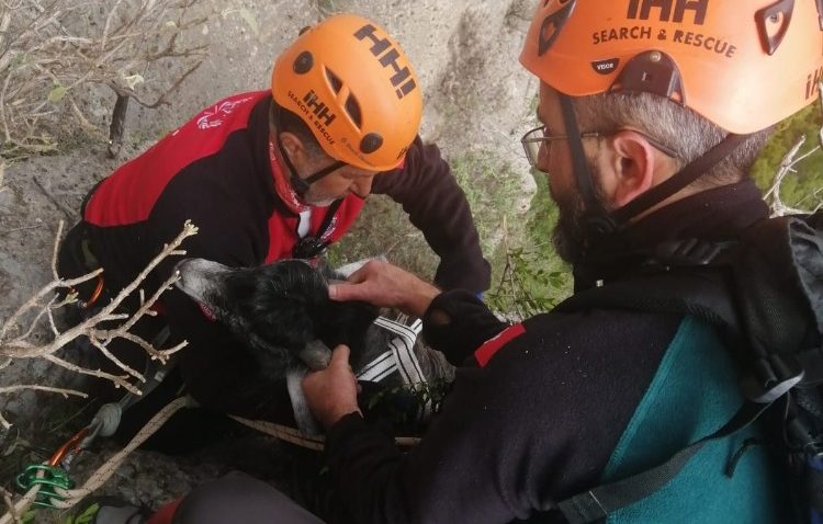 UÇURUMDA 1 HAFTADIR MAHSUR KALAN KEÇİ, SAATLER SÜREN OPERASYON SONUCU KURTARILDI.