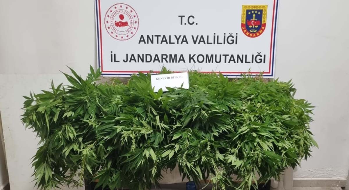 Uyuşturucuyla Mücadeleye Ara Vermeden Devam Ediliyor