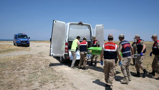 Van Gölü'nde vaka sayısı her geçen gün artmaya devam ediyor