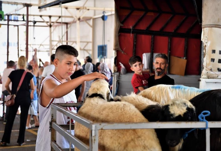 VATANDAŞ KURBAN HİZMETİNDEN MEMNUN