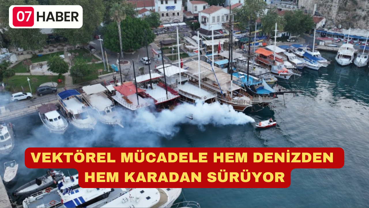 VEKTÖREL MÜCADELE HEM DENİZDEN HEM KARADAN SÜRÜYOR