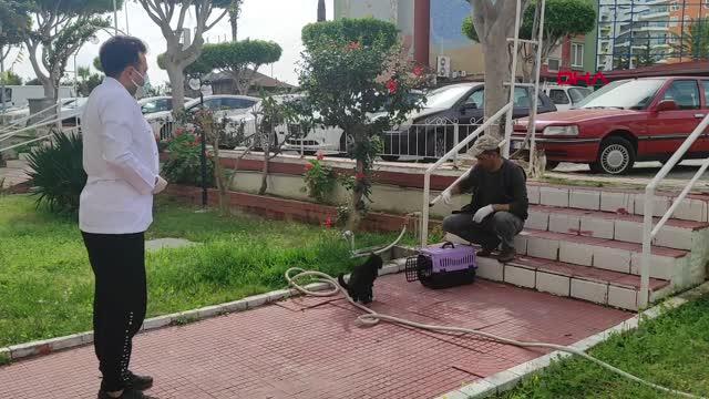 Veterinerlik İşleri Müdürlüğü ekipleri hasta halde bulunan kedinin tedavisine başladı.