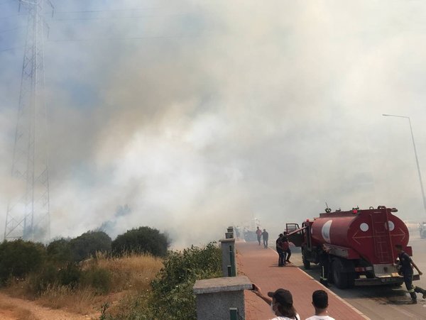 Zeytin ağaçlarının bulunduğu ormanlık ve çalılık alanda yangın çıktı