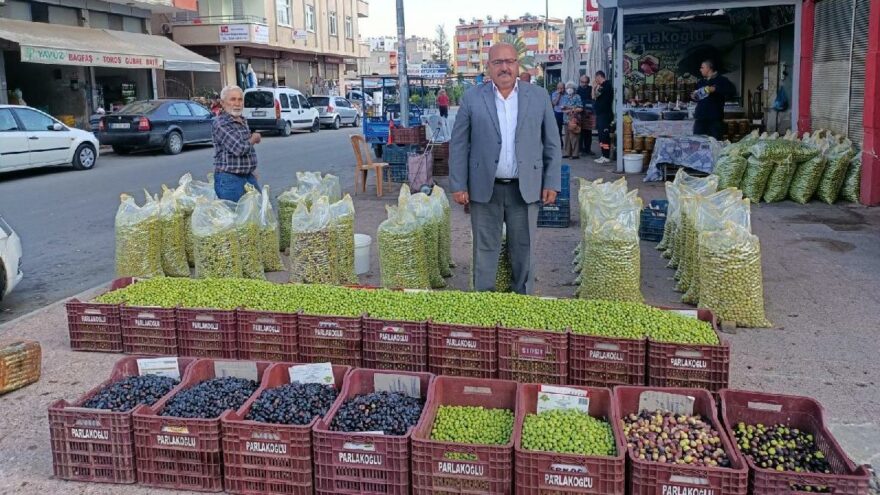 Zeytine rekolte zammı kapıda