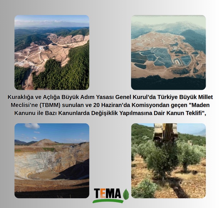 "Maden Kanunu ile Bazı Kanunlarda Değişiklik Yapılmasına Dair Kanun Teklifi - Görsel 1