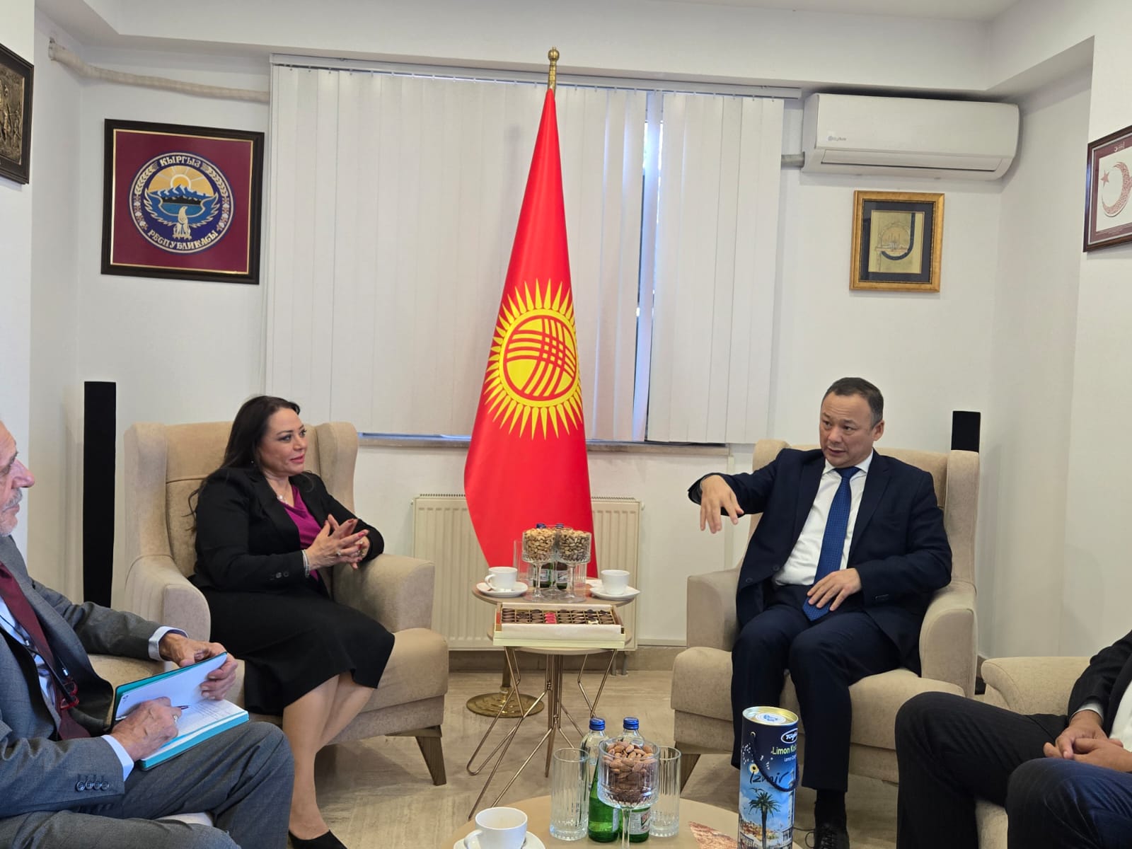 Prof. Dr. Aysun Bay, Kırgızistan Büyükelçisi Kazanbaev ile sağlık turizmi odaklı iş birliği görüşmesi yaptı - Görsel 2