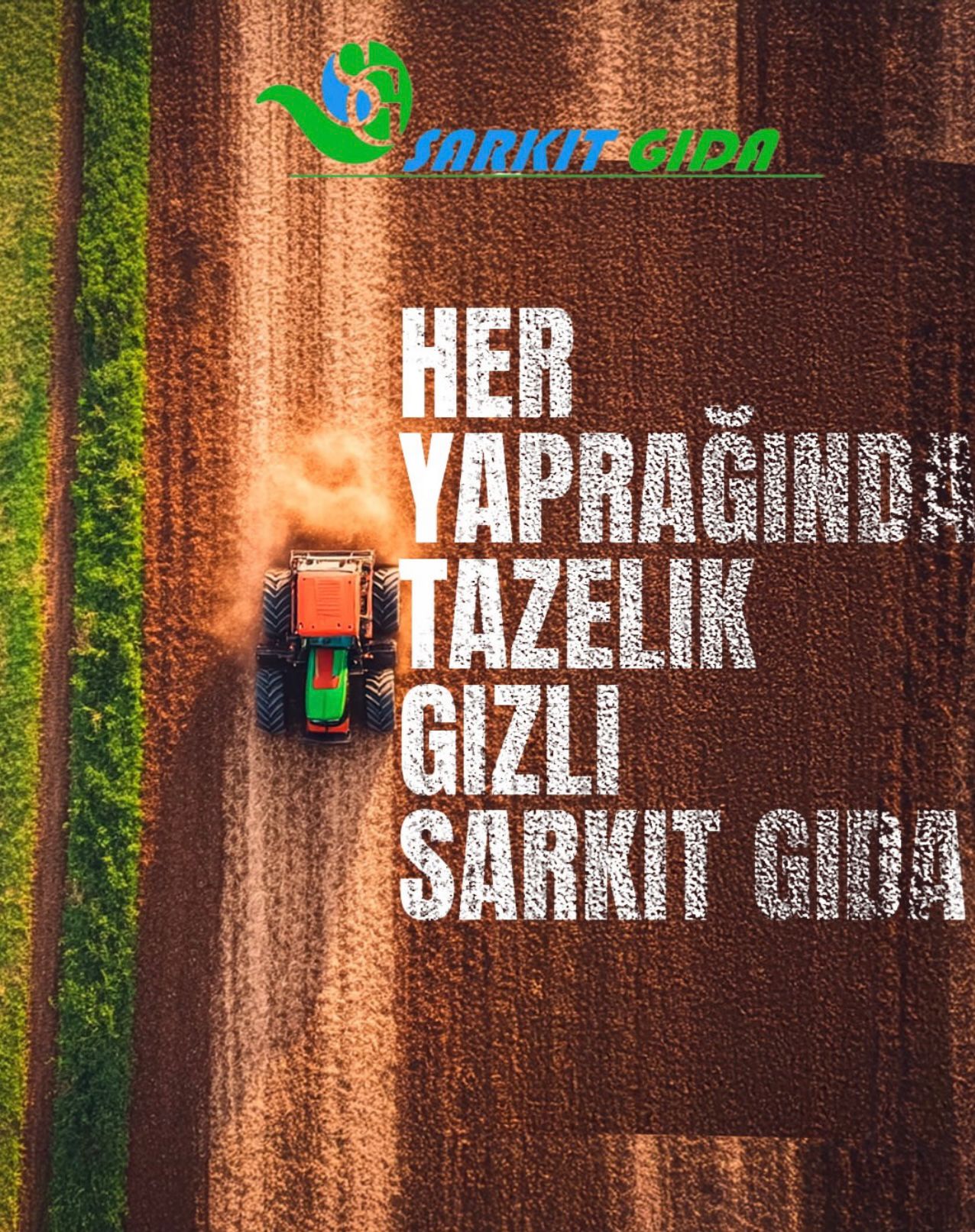 Sebze Meyvede Güvenin Adı: Melih Eğilmez ve Sarkıt Gıda - Görsel 2