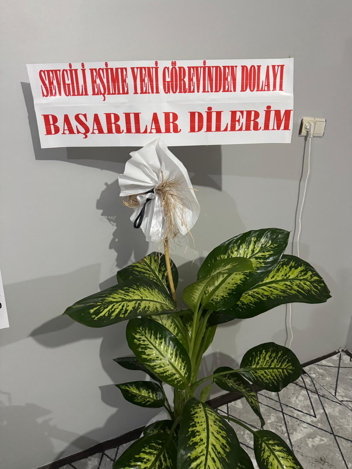 Mehmet Çiçek "Aile Kaledir"  - Görsel 2