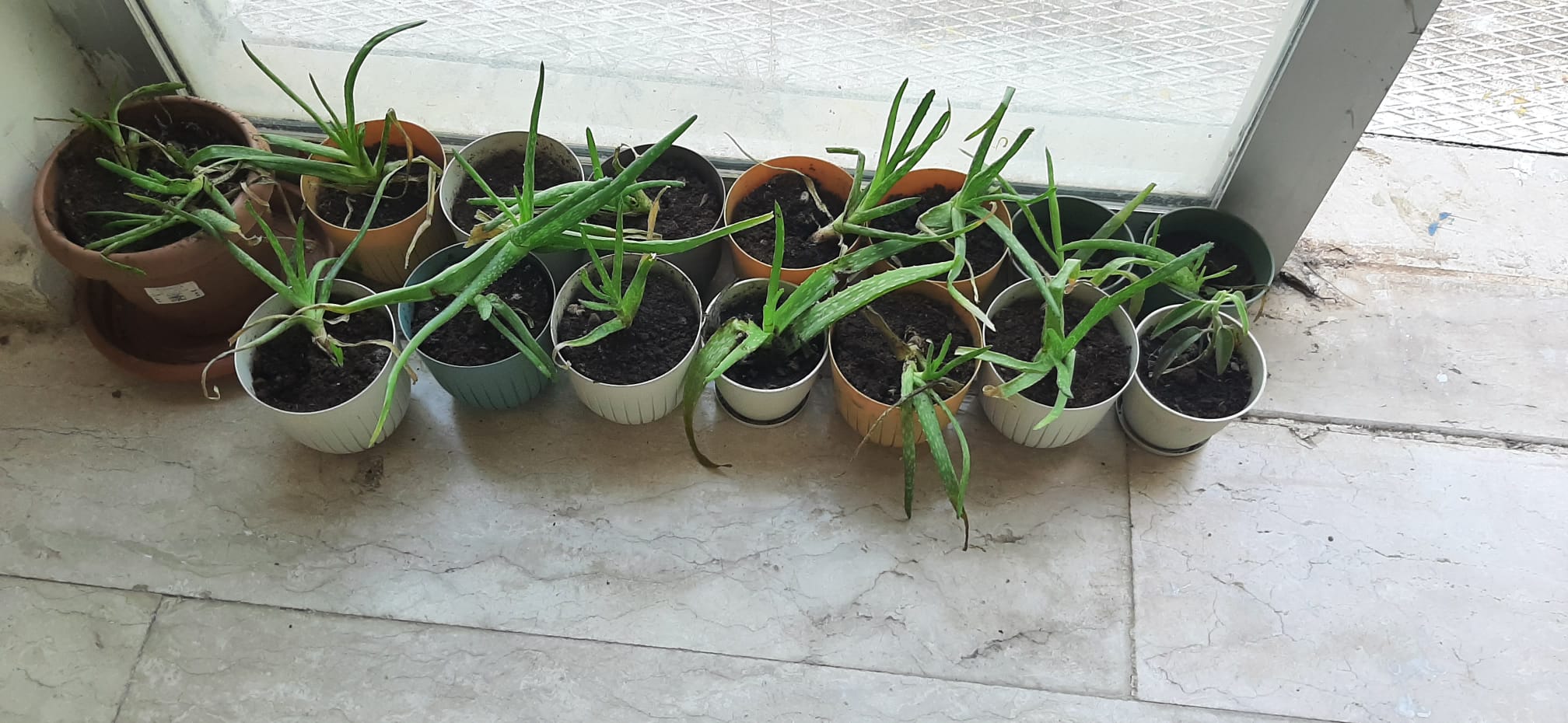 Dicle Üniversitesi’nde Geri Dönüşümden Filistin Temalı Anlamlı Proje - Görsel 4