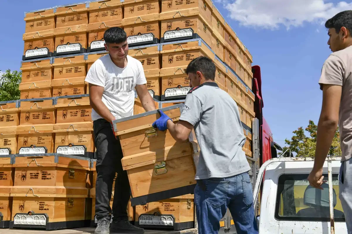 ABB'den arıcılara yüzde 50 hibeli kovan desteği