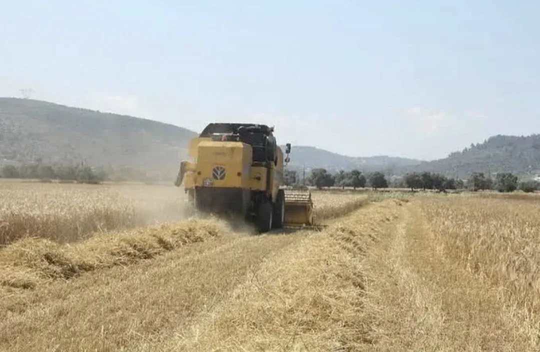 Tarım-ÜFE ağustosta yüzde 0,93 geriledi