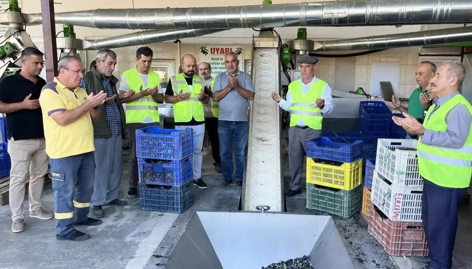 Antalya Kumluca’da zeytinyağı sıkım sezonu başladı