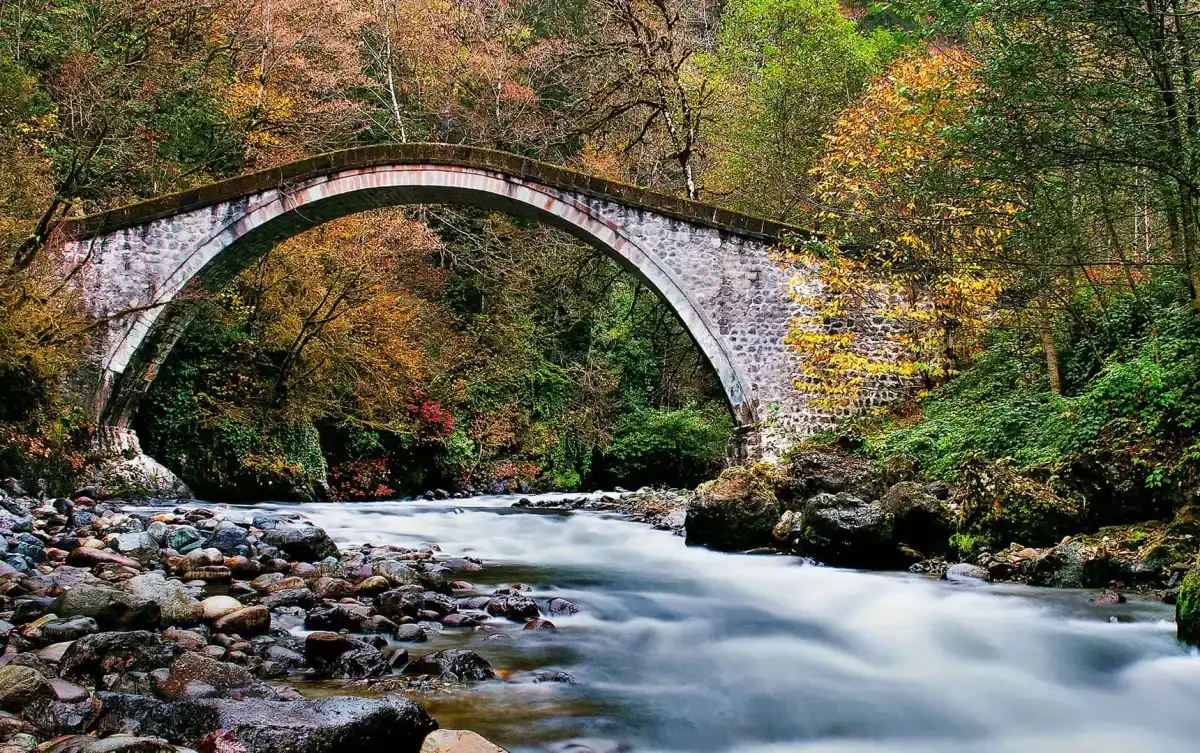 Rize'nin vadilerini birbirine bağlayan asırlık miras: Taş kemer köprüler