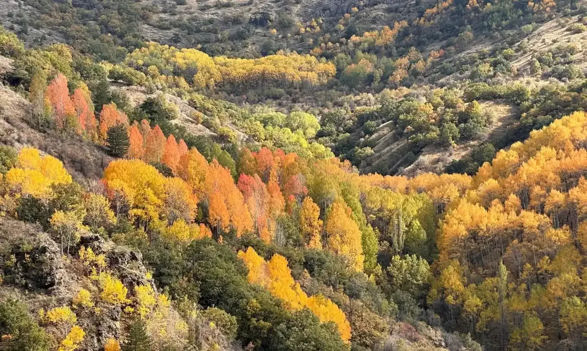 Beypazarı yaylalarında sonbahar renkleri görsel şölen sunuyor
